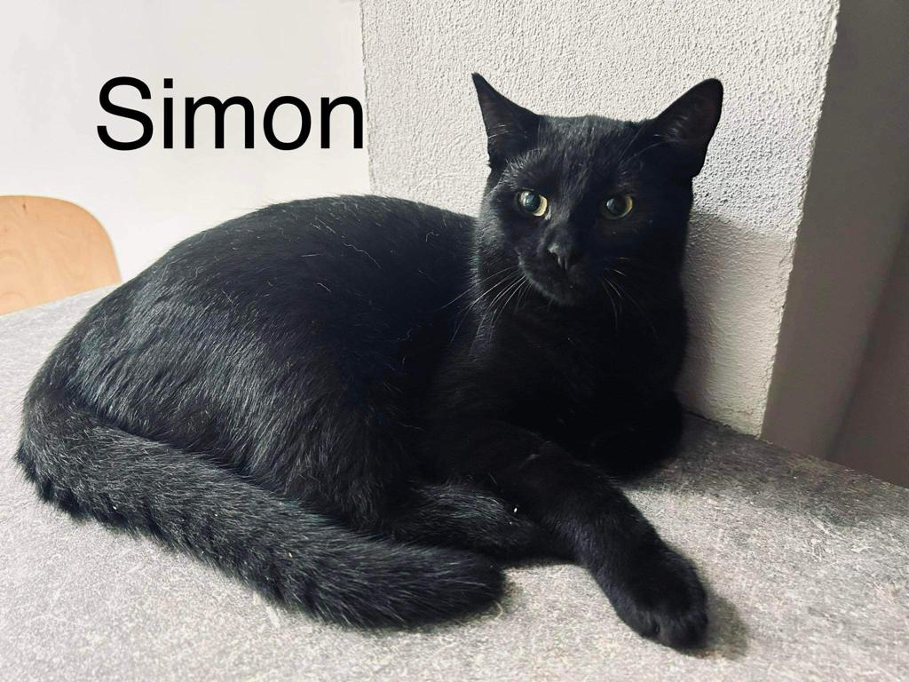 Simon – fotografia OZ Mačky Piešťany