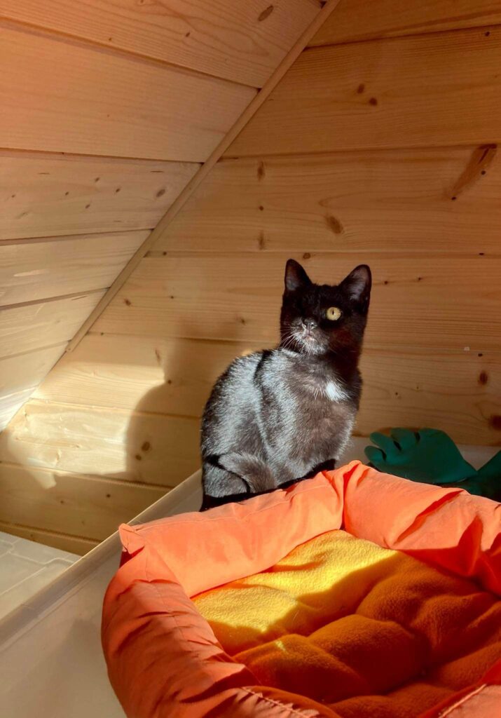 Olinka – fotografia OZ Mačky Piešťany