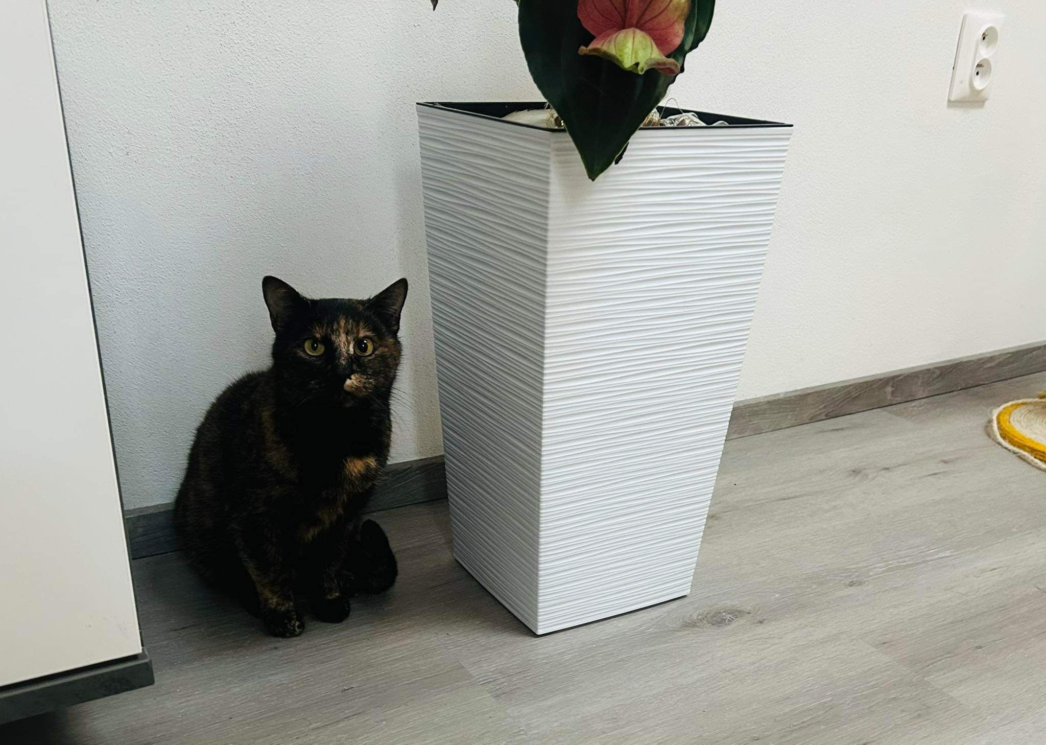 Marína – fotografia OZ Mačky Piešťany