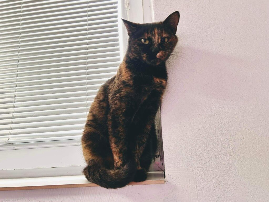 Marína – fotografia OZ Mačky Piešťany