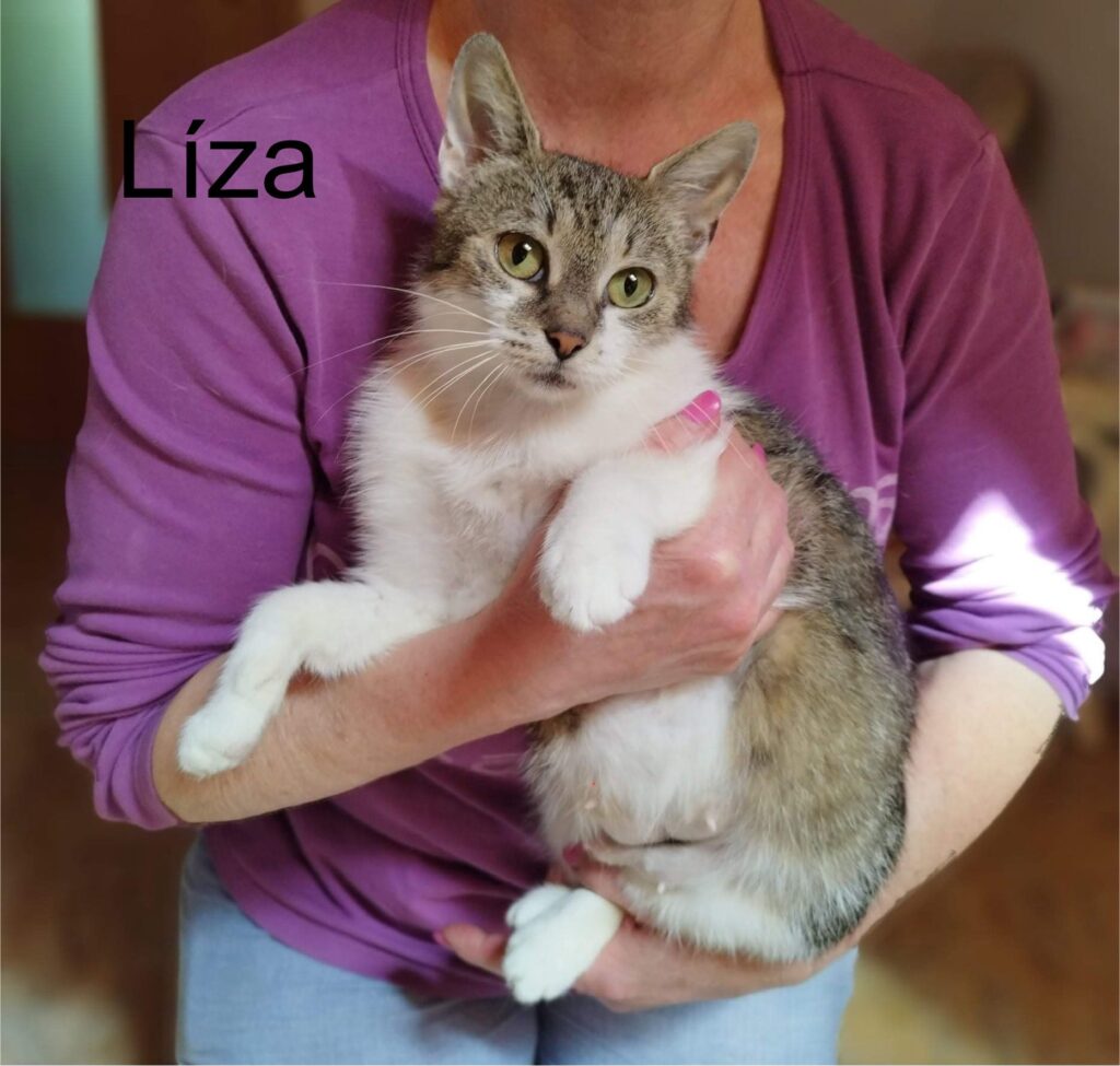Líza – fotografia OZ Mačky Piešťany