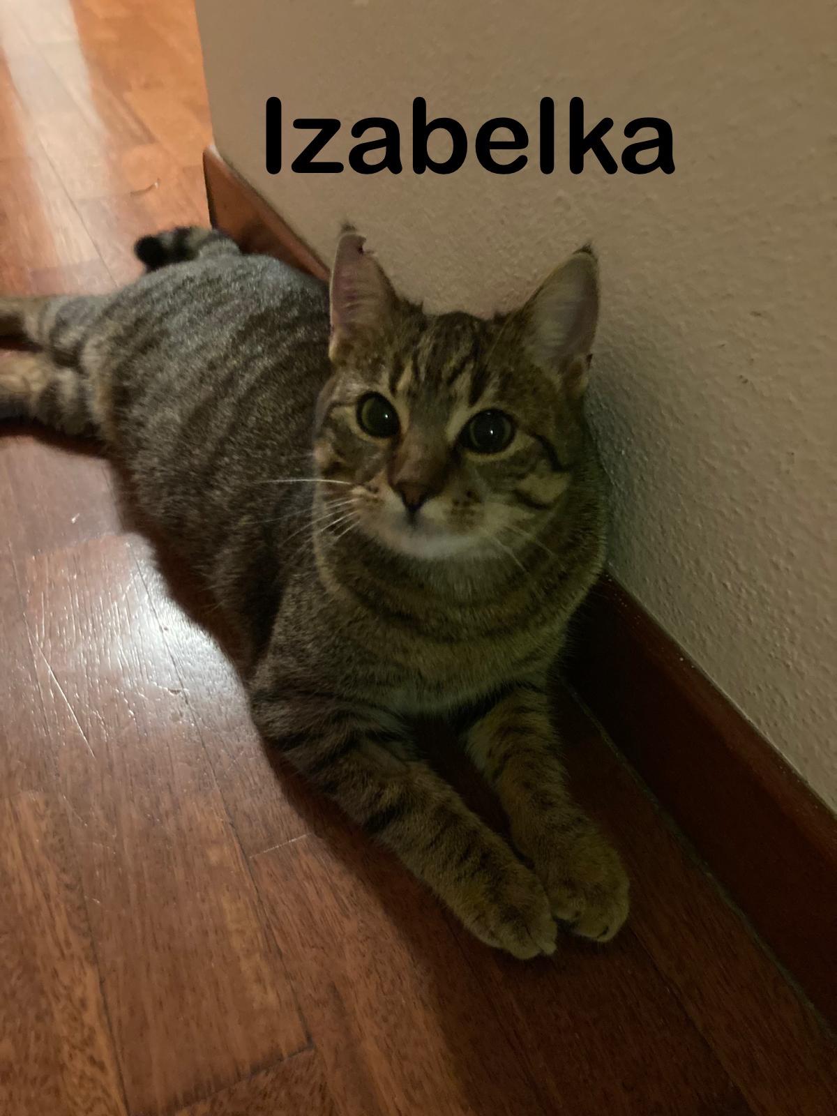 Izabelka – fotografia OZ Mačky Piešťany