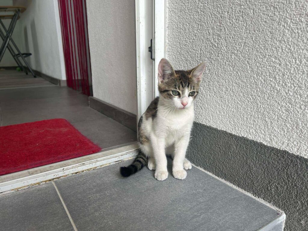 Baru – fotografia OZ Mačky Piešťany